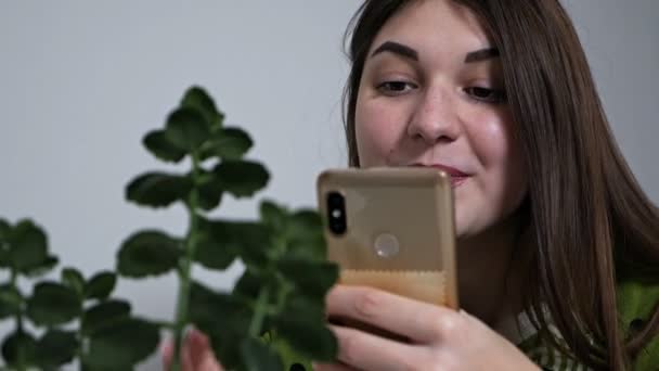 Jovem menina fotografa plantas em casa no telefone. eco blogger. ecologia. Passatempo. preocupação com o ambiente. Limpeza de molas. alergia — Vídeo de Stock