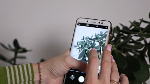 Vrouwelijke hand maakt een foto van een plant in een pot. Een jong meisje neemt foto 's van planten aan de telefoon. eco blogger. ecologie. hobby. bezorgdheid voor het milieu. Voorjaarsschoonmaak. allergie — Stockvideo