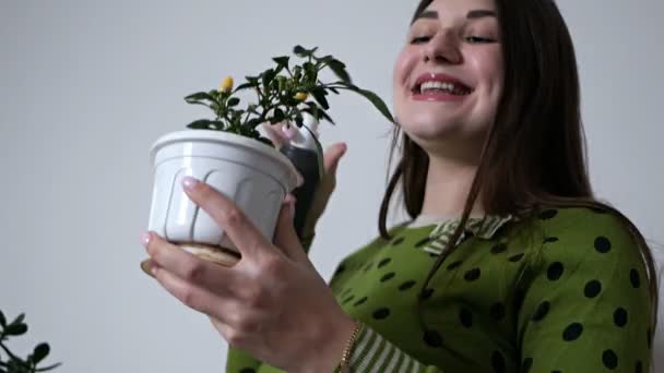 Una encantadora dama cuidando plantas en maceta en casa, rociando agua con una pistola de spray sonriendo en casa. Concepto de personas y floristería — Vídeos de Stock