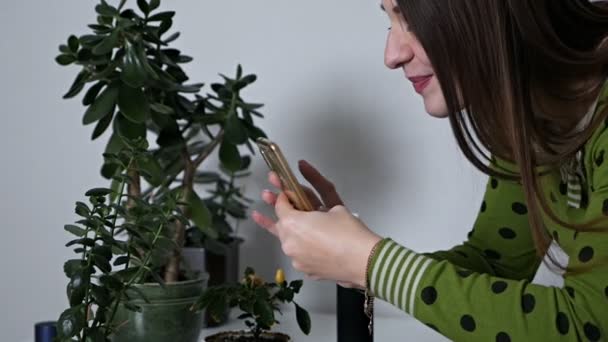 Giovane ragazza fotografa piante domestiche al telefono. eco blogger. ecologia. hobby. preoccupazione per l'ambiente. pulizie primaverili. allergia — Video Stock