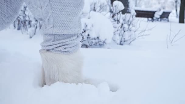 Las piernas de una joven caminan en la nieve con botas altas, botas de fieltro, botas ugg. Un parque de invierno nevado. Primer plano — Vídeos de Stock