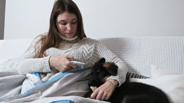 Niña comprobando la temperatura con termómetro infrarrojo médico electrónico para perro, cachorro — Vídeos de Stock