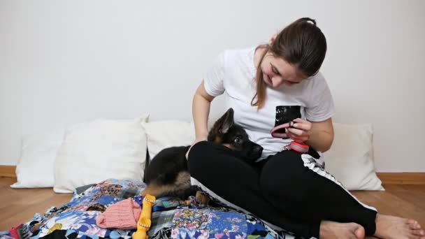 Genç bir kız evde yerde oturuyor ve neşeli bir köpeğe tasma takmaya çalışıyor. — Stok video