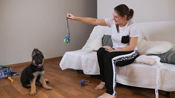 Дівчина у своїй кімнаті і грає зі своїм собакою, спеціальні іграшки для собак. Концепція домашніх тварин і власника . — стокове відео