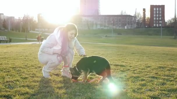 Ελκυστικό κομψό κορίτσι παίζει με ένα κουτάβι στο πάρκο. Αργή κίνηση. σκύλος απολαμβάνοντας ηλιόλουστο ηλιοβασίλεμα σε εξωτερικούς χώρους, γέλιο και τρέξιμο κορίτσι — Αρχείο Βίντεο