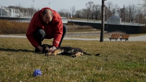 Köpeğiyle dışarıda parkta oynayan bir adam. Sahibi hayvanına dokunur, okşar. — Stok video