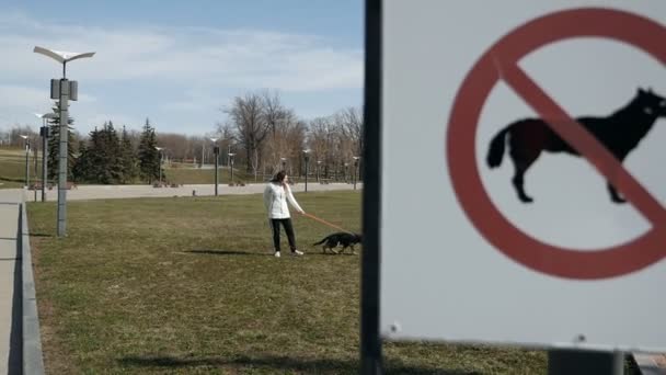 Perro paseando prohibido. Chica paseando a un perro sobre el fondo de una señal prohibida para pasear perros en el césped. — Vídeos de Stock