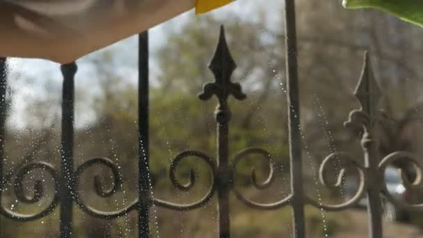 Uma mão feminina está lavando uma janela com um pano. Limpeza de casa, restaurar a ordem. Árvores do lado de fora da janela, dia de sol brilhante. Limpe em um movimento circular para a superfície de vidro — Vídeo de Stock
