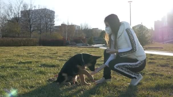 Maskeli genç bir kadın parkta sevimli bir köpekle oynuyor, köpeği eğitiyor, köpek komutayı yerine getiriyor. Koronavirüs salgını — Stok video