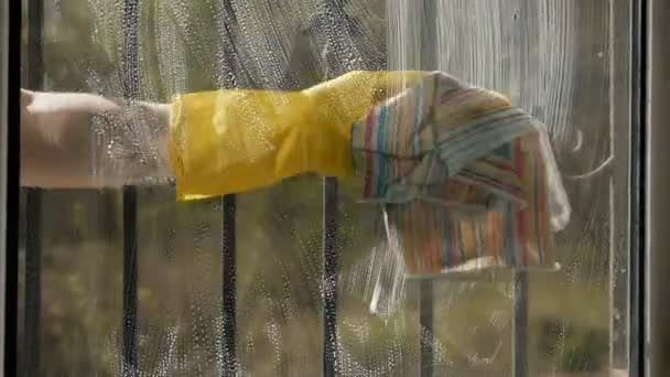 Une femme lave une fenêtre avec un chiffon. Nettoyage de la maison, remise en ordre. Arbres devant la fenêtre, belle journée ensoleillée. Essuyez en un mouvement circulaire sur la surface du verre — Video