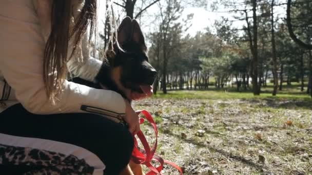 Sidovy flicka ägare till en hund stroking en vacker valp. Begreppet livsstil, kärlek och vänskap — Stockvideo