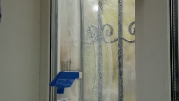 Mensen, huishouden en huishouden concept - vrouw in handschoenen schoonmaken venster met doek en reinigingsmiddel spray thuis — Stockvideo