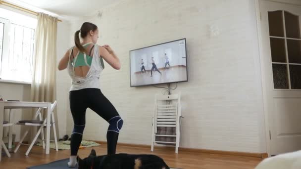 La chica hace ejercicios mientras ve un programa en la televisión en casa. Una joven en ropa deportiva, de construcción atlética, practica deportes en la habitación, frente a la televisión. Su mascota favorita, un perro se encuentra junto a ella — Vídeos de Stock