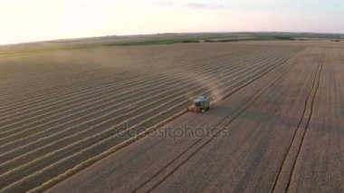 Buğday sahada çalışan hasat birleştirin. Havadan görüntüleri