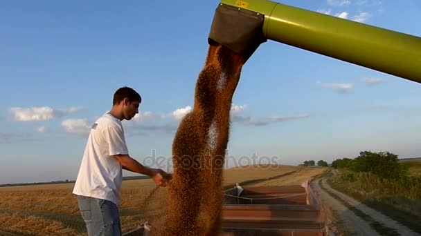 年轻农民在拖车上检查小麦储藏 晴朗的秋天天 高速摄影机慢动作视频 — 图库视频影像