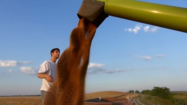 Jóvenes Agricultores Revisando Almacenamiento Trigo Remolque Día Soleado Otoño Cámara — Vídeo de stock