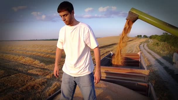 青年满意农民在收获期间享受小麦收入 慢动作视频 高速摄影机 — 图库视频影像
