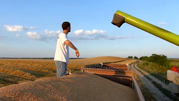 若い農夫のトレーラー上の小麦ストレージをチェックします 晴れた秋の日 高速度カメラ スローモーション映像 — ストック動画