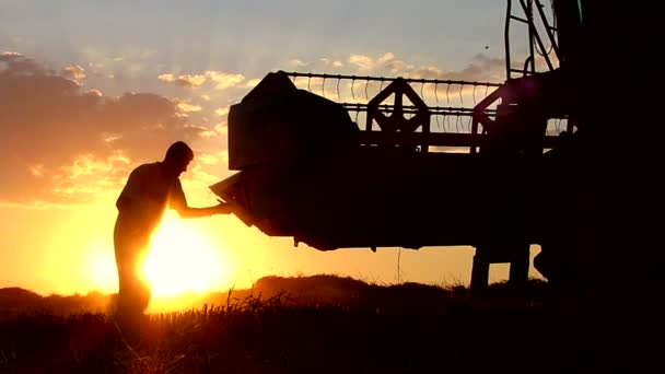 Combine Limpieza Cabecera Después Cosecha Trigo Puesta Sol Verano — Vídeos de Stock