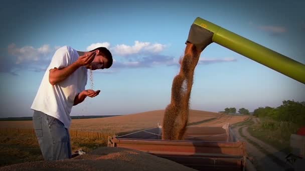 年轻农民在拖车上检查小麦储藏 晴朗的秋天天 高速摄影机慢动作视频 — 图库视频影像
