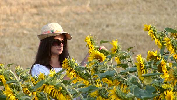 Mujer Disfrutando Campo Girasol Día Verano — Vídeo de stock