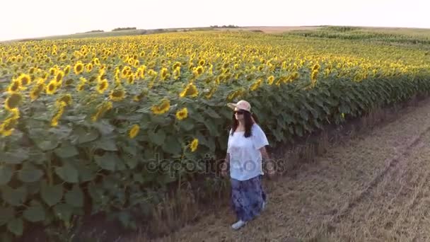 Mulher Caminhando Lado Campo Girassóis Noite Verão Imagens Aéreas — Vídeo de Stock