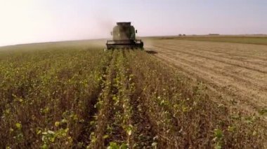 Soya sahada çalışan hasat birleştirin. Güneşli sonbahar günü. Havadan görüntüleri.