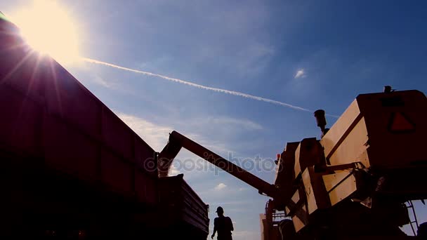 Combine Colheitadeira Descarregamento Soja Para Reboque Trator — Vídeo de Stock