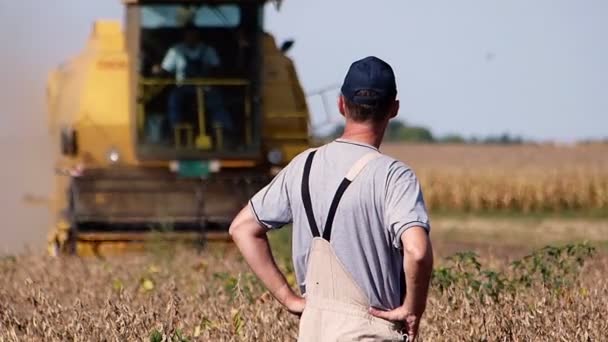 Agricultor Mediana Edad Campo Soja Durante Cosecha Día Otoño Soleado — Vídeos de Stock