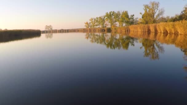 Widok Lotu Ptaka Rzeki Nizinnej Dzień Słoneczny Upadek — Wideo stockowe