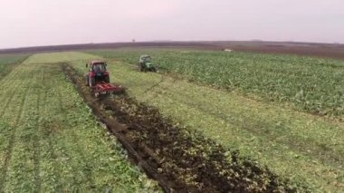 Karnabahar alanın toprak işleme sırasında hava görüntüleri.