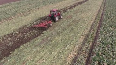 Karnabahar alanın toprak işleme sırasında hava görüntüleri.