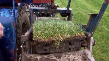 Makine kesme çim çim.