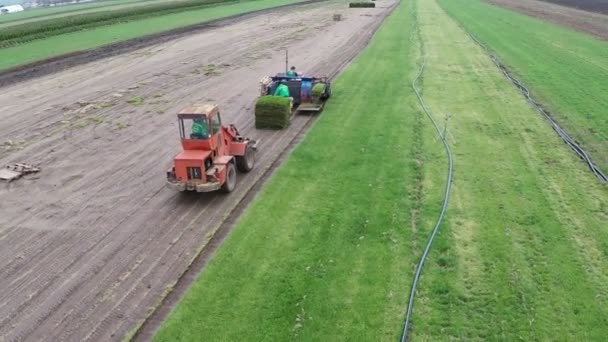 Tractor Tomando Césped Hierba Para Transporte — Vídeo de stock