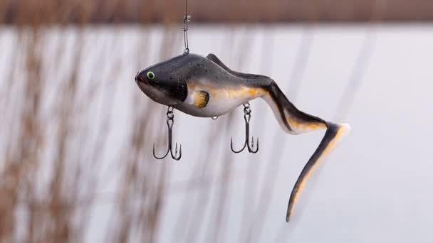 Fishing Bait Trout Seeker Lures — Stock Video