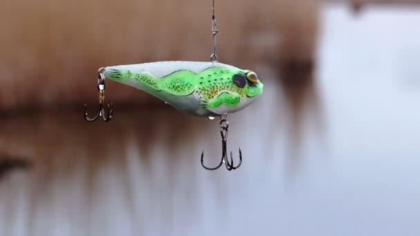 Fishing Bait Trout Seeker Lures — Stock Video