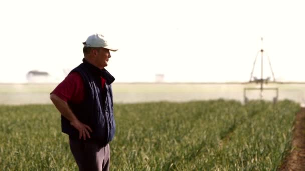Mann Steht Bei Bewässerung Auf Feld — Stockvideo