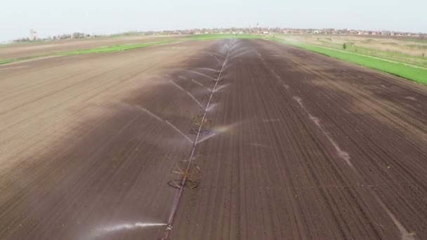 Aerial View Field Irrigation Spring — Stock Video