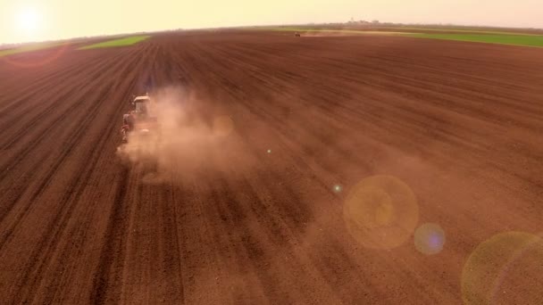 Vista Aérea Tractor Campo Durante Cultivo Terra — Vídeo de Stock