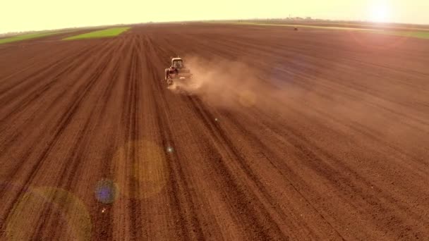 Vista Aérea Tractor Campo Durante Cultivo Terra — Vídeo de Stock