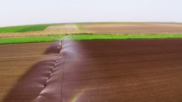 Flygfoto Över Fältet Bevattning Våren — Stockvideo