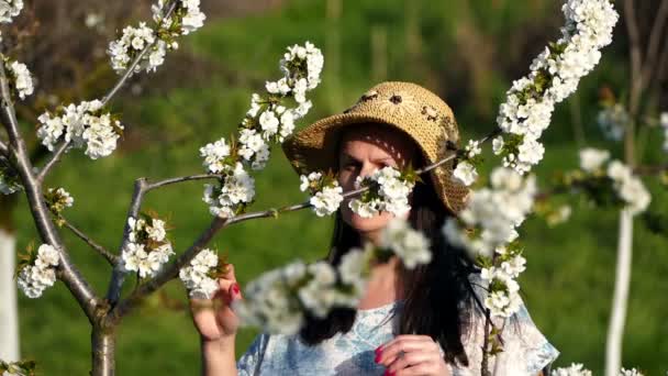 Женщина Ищет Цветущие Ветви Фруктового Сада — стоковое видео