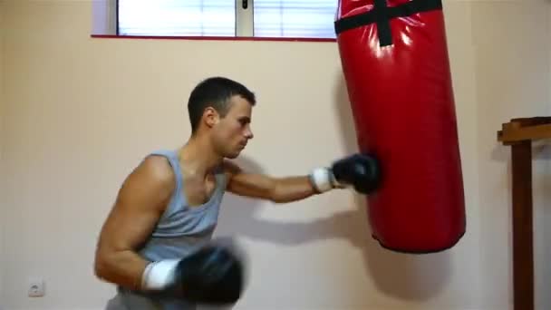 Strong Young Boxer Hitting Boxing Bag — Stock Video