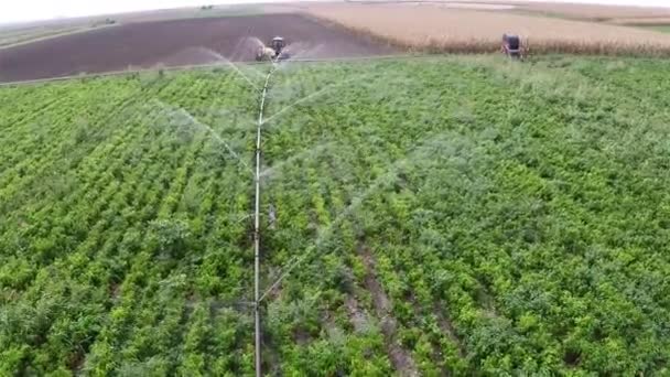 Trattore Tira Macchina Spruzzare Cipolla Durante Irrigazione Del Campo Pepe — Video Stock