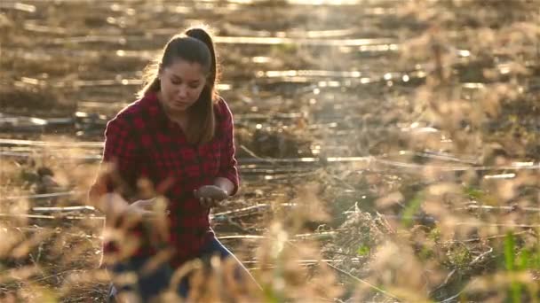 Jong Meisje Aardappel Veld Zonsondergang — Stockvideo