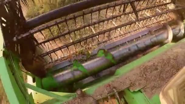 Soybean Harvesting Process Autumn Sunset — Stock Video