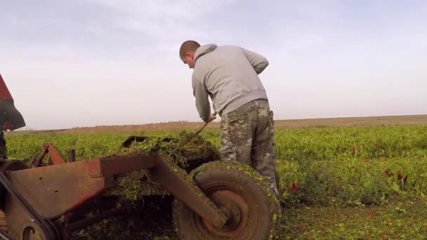 Jovem Agricultor Limpando Máquina Cultivo Terra — Vídeo de Stock