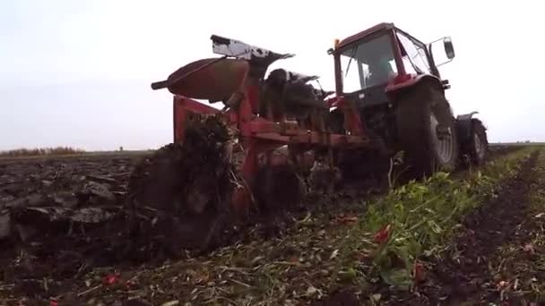 Czerwony Traktor Lub Ziemi Uprawy Pracy Maszyny Zielone Pola — Wideo stockowe