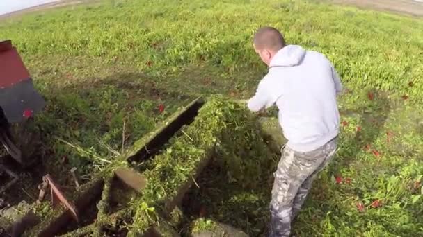 Jonge Boer Reinigen Van Machine Van Teelt Land — Stockvideo