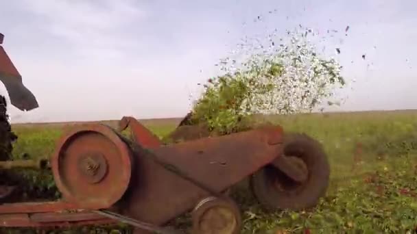 Красный Трактор Машина Обработки Земли Работы Зеленом Поле — стоковое видео